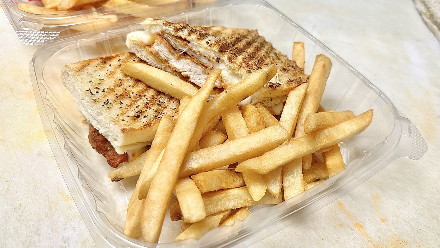 A pressed panini served with french fries